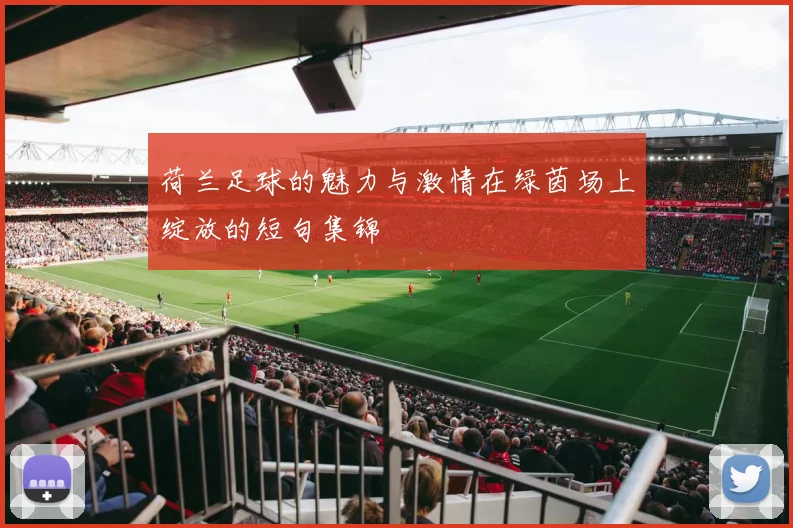 荷兰足球的魅力与激情在绿茵场上绽放的短句集锦